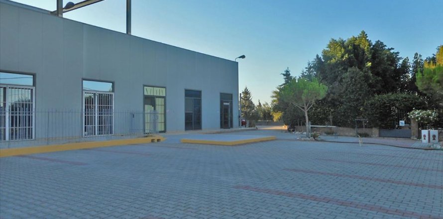 1400m² Business in Koropi, Greece No. 59420