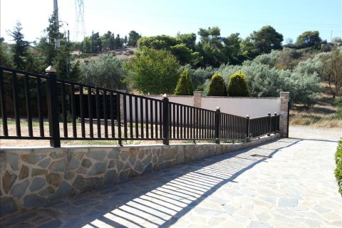 8 dormitorios Villa en Koropi, Greece No. 59406 8