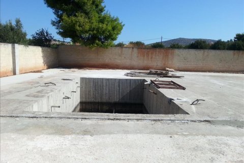 8 dormitorios Villa en Koropi, Greece No. 59406 6