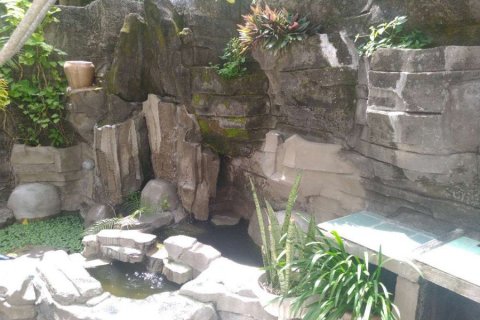 4 bedrooms Villa in Ungasan, Indonesia No. 22852 14