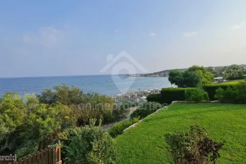 4 bedrooms House in Pentakomo, Cyprus No. 32095 11