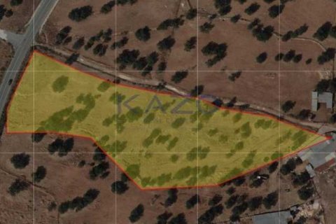 12236m² Land in Prastio, Cyprus No. 64756 1