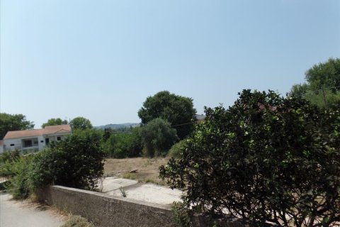 6850m² Land in Corfu, Greece No. 57959 6