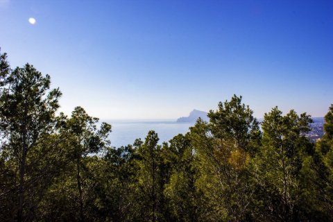 4 chambres Villa à Altea, Spain No. 26134 9