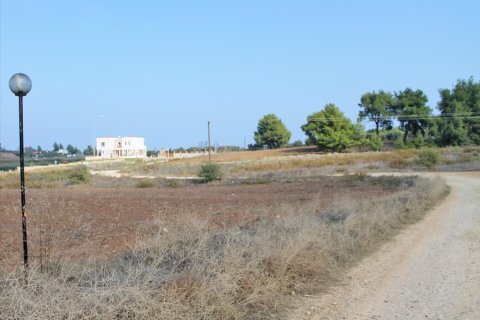 5875m² Land en Chalkidiki, Greece No. 60597 5