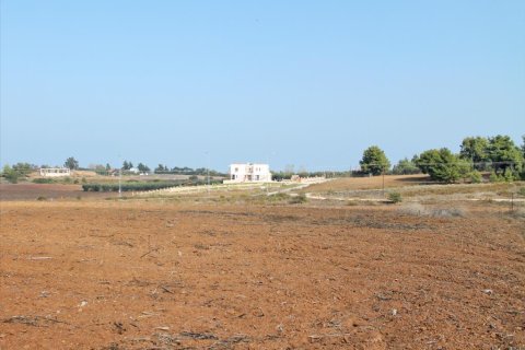 5875m² Land à Chalkidiki, Greece No. 60597 1