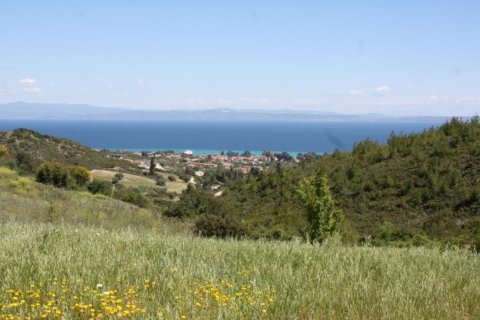 6750m² Land en Chalkidiki, Greece No. 60598 4