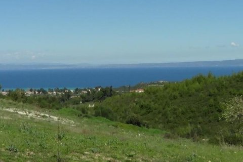 6750m² Land en Chalkidiki, Greece No. 60598 3