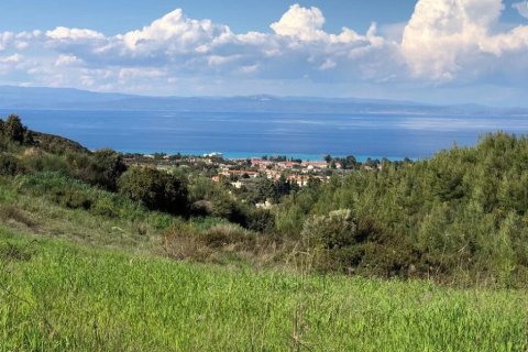 6750m² Land in Chalkidiki, Greece No. 60598 12