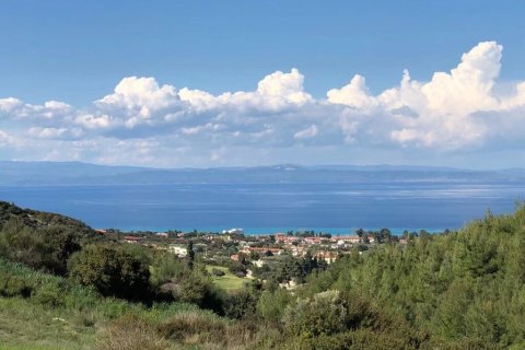 6750m² Land in Chalkidiki, Greece No. 60598 11