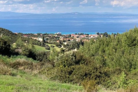 6750m² Land à Chalkidiki, Greece No. 60598 9