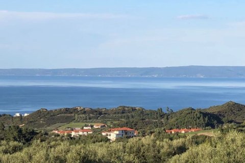 6750m² Land en Chalkidiki, Greece No. 60598 5