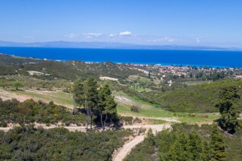 6750m² Land à Chalkidiki, Greece No. 60598 7