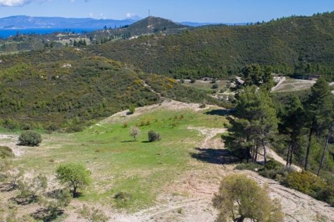 6750m² Land in Chalkidiki, Greece No. 60598 2