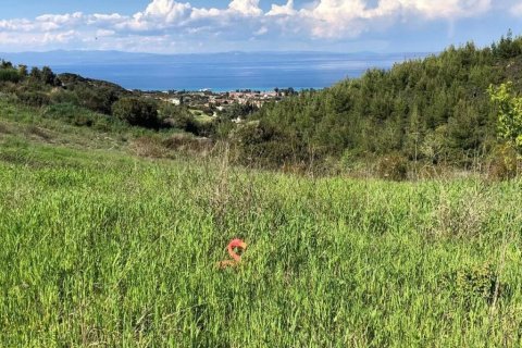 6750m² Land in Chalkidiki, Greece No. 60598 8