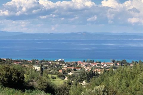 6750m² Land à Chalkidiki, Greece No. 60598 10