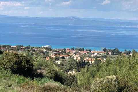 6750m² Land en Chalkidiki, Greece No. 60598 6