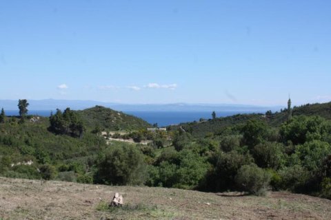 6080m² Land en Chalkidiki, Greece No. 60599 7