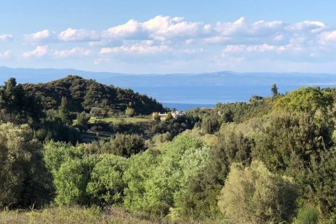 6080m² Land à Chalkidiki, Greece No. 60599 10