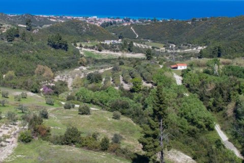 6080m² Land en Chalkidiki, Greece No. 60599 1