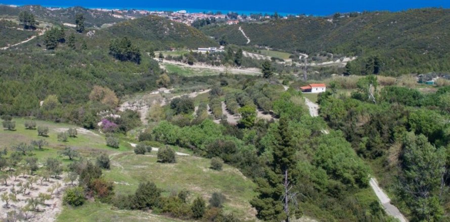 6080m² Land in Chalkidiki, Greece No. 60599