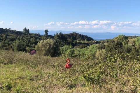 6080m² Land in Chalkidiki, Greece No. 60599 6