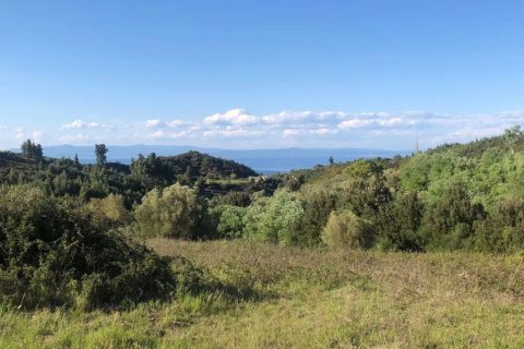 6080m² Land in Chalkidiki, Greece No. 60599 9