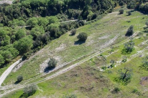 6080m² Land à Chalkidiki, Greece No. 60599 4