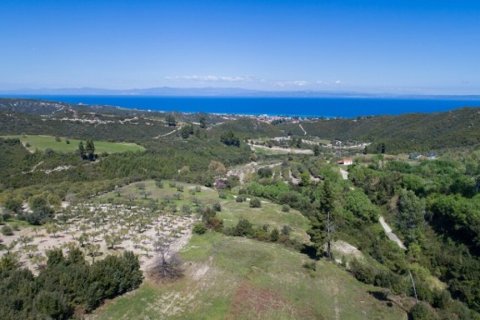 6080m² Land à Chalkidiki, Greece No. 60599 3