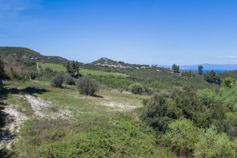 6080m² Land in Chalkidiki, Greece No. 60599 2