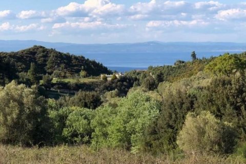 6080m² Land à Chalkidiki, Greece No. 60599 8