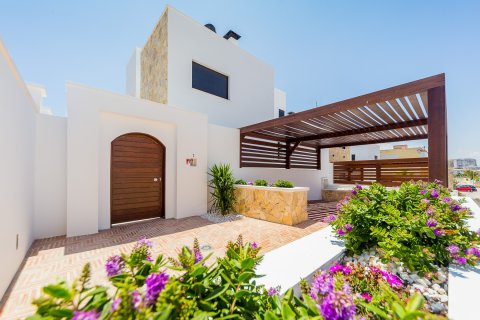 4 bedrooms Villa in Torrevieja, Spain No. 26026 3