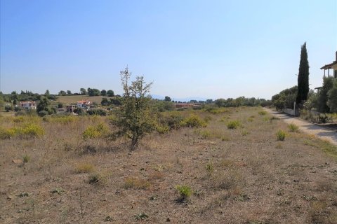 30600m² Land in Polygyros, Greece No. 57849 2