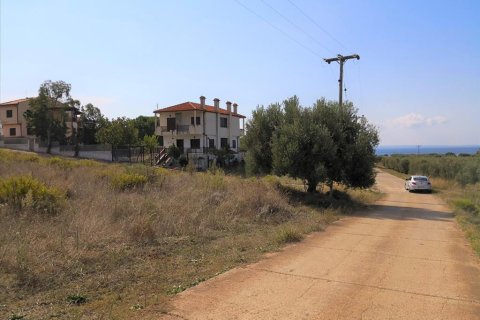 30600m² Land en Polygyros, Greece No. 57849 11