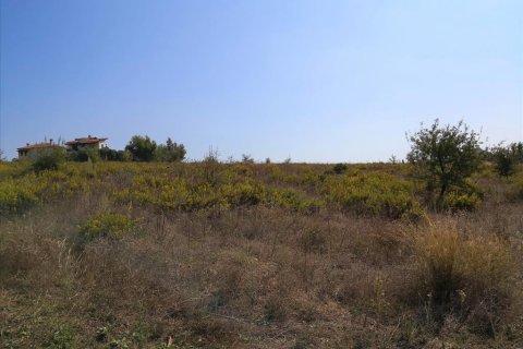 30600m² Land en Polygyros, Greece No. 57849 10