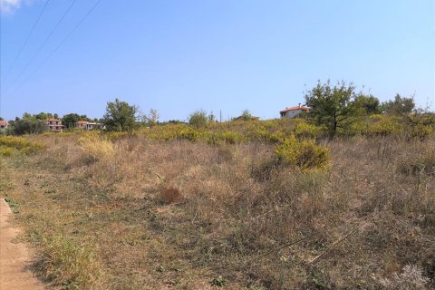 30600m² Land in Polygyros, Greece No. 57849 9