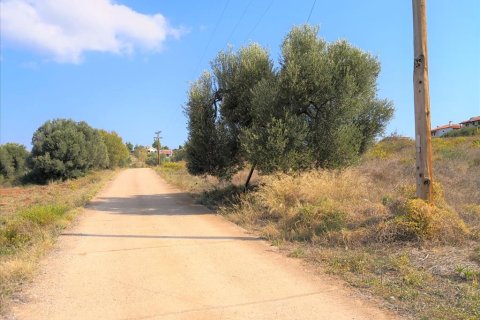 30600m² Land in Polygyros, Greece No. 57849 8