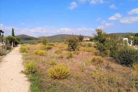 30600m² Land in Polygyros, Greece No. 57849 6