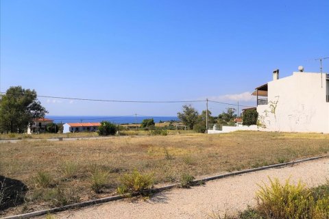 30600m² Land in Polygyros, Greece No. 57849 3