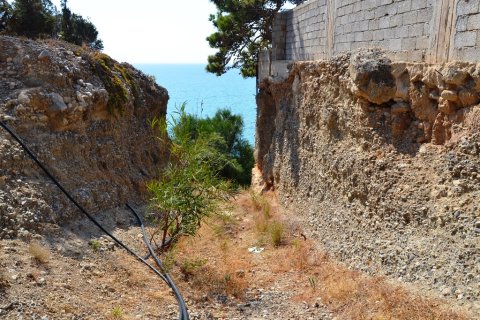 5500m² Land in Ierapetra, Greece No. 57850 4