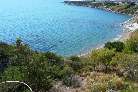 5500m² Land à Ierapetra, Greece No. 57850 5