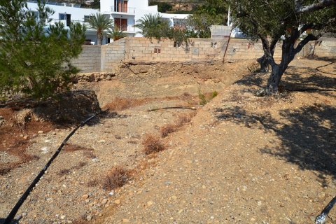 5500m² Land in Ierapetra, Greece No. 57850 3