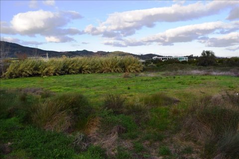 5050m² Land in Chania, Greece No. 58391 3