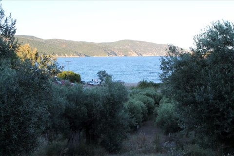 6450m² Land en Chalkidiki, Greece No. 60200 1