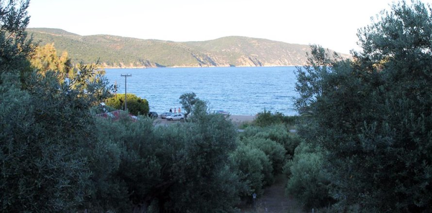 6450m² Land à Chalkidiki, Greece No. 60200