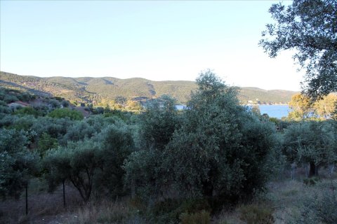 6450m² Land in Chalkidiki, Greece No. 60200 3