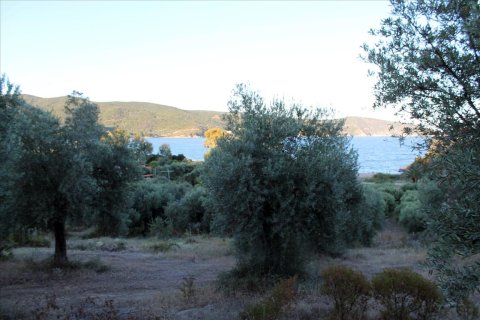 6450m² Land in Chalkidiki, Greece No. 60200 2