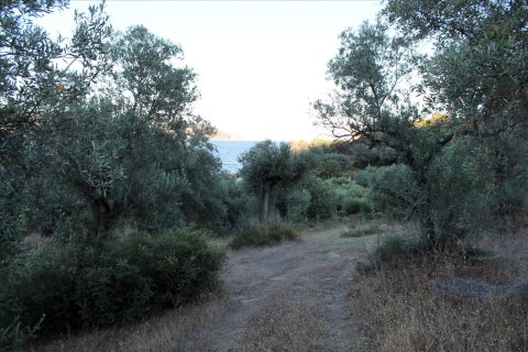 6450m² Land in Chalkidiki, Greece No. 60200 7