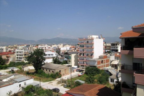 1000m² Affaires à Chrysoupoli, Greece No. 60195 11