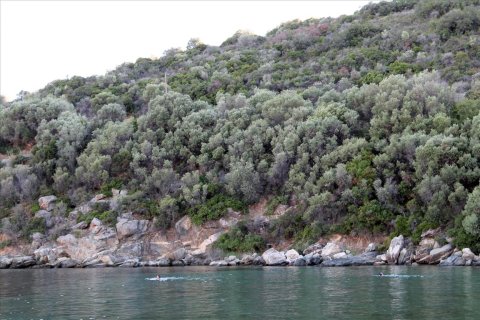 10300m² Land in Chalkidiki, Greece No. 60201 3